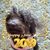Marcia Rothgeb's profile image