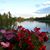 Susan Reed's profile image