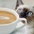 Donalee Banta's profile image