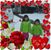 Joetta Sgalla Varanasi's profile image