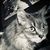 Jennifer DeVault's profile image