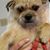 Deborah Pruitt's profile image