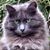 Gabbie Mestemacher's profile image