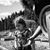 Carmen Pacheco's profile image