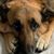 Kim Kapsos's profile image