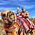 Barry C. Lawrence's profile image