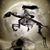 Misty K Phillips's profile image