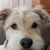 Mary Willard's profile image
