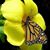 Twyla Agan Baldree's profile image