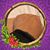 Gail Kronholm's profile image