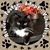 Maddy Woodward's profile image