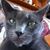 Mara Wible's profile image