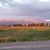 Diane Neumann Stafford's profile image