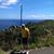Sue Mashburn's profile image