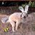 Rae Eddy's profile image