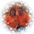 Owen E. Thornton's profile image