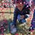 Debbie Lambertson's profile image