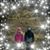 Barb Turek's profile image