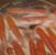 Corry Osowski's profile image