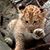 Kit Stookey's profile image