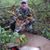Dom Capogna's profile image