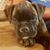 Joseph Bawdon's profile image