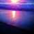 Kelly Huggins Miller's profile image