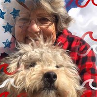 Katie Murphy's profile image
