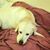 Jenny Zuehlke's profile image