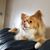 Sandy Horvat-McIntyre's profile image