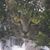Yvonne Neidermeyer's profile image