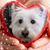 Joey McDuff's profile image