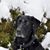 Sue Bitler's profile image