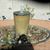 Patricia Blackwell's profile image