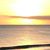 Marie Graziosi Jacaruso's profile image