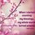 Louann Neill Dugan's profile image