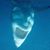 Bobby Ruiz's profile image