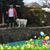 Terry Edelbrock-Mcglone's profile image