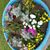 Ginnie Brickner's profile image