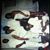 Tick Daggs's profile image