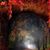 Kathie West's profile image