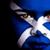Cliff Ferris's profile image