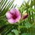 Tawnya Lege's profile image