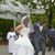 Mrsl Akins's profile image