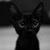Kat James's profile image