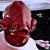 Deb Neidert's profile image