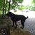 Patricia Winney's profile image