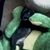 Nick Yurkovich's profile image