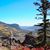 Julie Suzanne's profile image