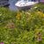Dottie Curci's profile image
